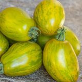 Dwarf Saucy Mary Yesil Sari Alacali Etli Domates Tohumu (15 Tohum)