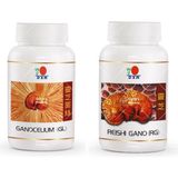 DXN Rg90 Reıshı Gano + Gl90 Ganocelıum Kapsül