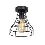 Dylight Retro Metal 1 Li Siyah Tavan Plofyoner Kafes Rustik Avize Siyah dy00124