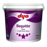 Dyo Beşyıldız Ihlamur 20 kg Silikonlu Mat İç Cephe Duvar Boyası