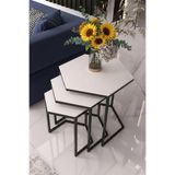 DZGN HOME Vatoz Altıgen Siyah Metal Beyaz Mdf Tablalı 3lü Zigon Sehpa