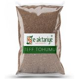 E-Aktariye 100 gr Teff Tohumu