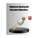 E BULURUM Kablosuz Karaoke Mikrofon USB AUX Destekli Parti ve Eğlence İçin GYM39933542