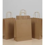e ERTA Burgu Saplı Kraft Çanta 25X31 cm 5 Adet Hediye Poşeti , Hediye Paketi , Kraft Kağıt Çanta - 25 x 31 cm