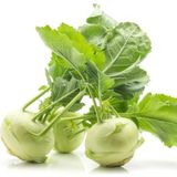 e-fidancim Ata Tohumları Geleneksel Yeşil Kohlrabi(Alabaş) Tohumu (20 Tohum)