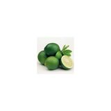 E-Fidancım Çekirdeksiz Tahiti Lime Limequat Fidanı
