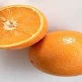 E-Fidancım Tüplü Rize Portakalı Fidanı