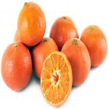 E-fidancim Tüplü Şeker Oranı Yüksek Fremont Mandalin Fidanı