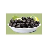 E-Fidancımgemlik Salamuralık Trilye 1 Yaş Zeytin Fidanı