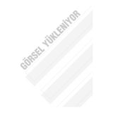 E Hobici Cenova Art 123B Yuvarlak Uç Kontur Fırça No:10 - Renkli