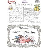 E Hobici Sulu Transfer Kağıdı 25X35CM ST-893 - Çok Renkli