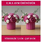 E.M.S 2 ADET FUŞYA RENK ÇUBUK DESEN SAKSI SUKULENT SAKSISI MENEKŞE SAKSISI DEKORATİF SAKSI 7,5 X 10 CM.