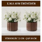 E.M.S 2 ADET KAHVERENGİ ÇUBUK DESEN SAKSI SUKULENT MENEKŞE SAKSISI DEKORATİF SAKSI 7,5 X 10 CM