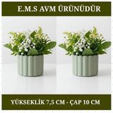 E.M.S 2 ADET MİNT YEŞİLİ ÇUBUK DESEN SAKSI SUKULENT MENEKŞE SAKSISI DEKORATİF SAKSI 7,5 X 10 CM.