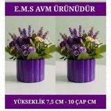 E.M.S 2 ADET MOR RENK ÇUBUK DESEN SAKSI SUKULENT SAKSISI MENEKŞE SAKSISI DEKORATİF SAKSI 7,5 X 10 CM.