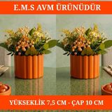 E.M.S 2 ADET TURUNCU ÇUBUK DESEN SAKSI SUKULENT SAKSISI MENEKŞE SAKSISI DEKORATİF SAKSI 7,5 X 10 CM.