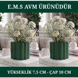 E.M.S 2 Adet Yeşil Renk Çubuk Desen Saksı Sukulent Menekşe Saksısı Dekoratif Saksı 7,5 x 10 Cm.
