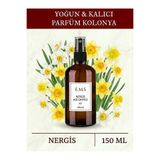 E.M.S AVM 150 ML NERGİS KOLONYASI PARFÜMLÜ NERGİS KOLONYASI 80 DERECE YOĞUN VE KALICI