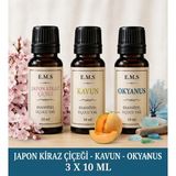 E.M.S Japon Kiraz Çiçeği - Kavun - Okyanus Esansiyel Uçucu Yağ Buhurdanlık Yağı Difüzör Esansı Oda Kokusu Mum Esansı.