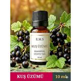 E.M.S Kuş Üzümü Uçucu Yağ Buhurdanlık Yağı Difüzör Esansı Oda Kokusu Kuş Üzümü Yağı Mum Esansı 10 Ml.