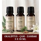 E.M.S Okaliptus Çam Kokusu Zambak Esansiyel Uçucu Yağ Buhurdanlık Yağı Difüzör Esansı Ortam Kokusu