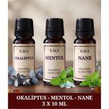 E.M.S Okaliptus - Mentol -Nane Esansiyel Uçucu Yağ Buhurdanlık Yağı Difüzör Esansı Oda Kokusu Esansı Mum Esansı 3 x 10 Ml.