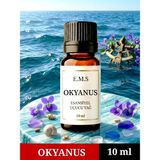 E.M.S OKYANUS Esansiyel Uçucu Yağ Buhurdanlık Yağı Difüzör Esansı Oda Kokusu Esansı MUM ESANSI 10 ML.