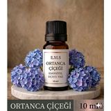 E.M.S ORTANCA ÇİÇEĞİ Esansiyel Uçucu Yağ Buhurdanlık Yağı Difüzör Esansı Oda Kokusu Esansı Mum Esansı 10 Ml.