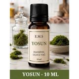 E.M.S YOSUN Esansiyel Uçucu Yağ Buhurdanlık Yağı Difüzör Esansı Oda Kokusu Esansı MUM ESANSI 10 ML