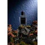 E027 Sauvagee Elixirr Edp 50ml Erkek Parfüm