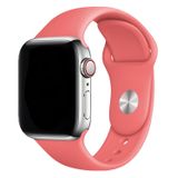 E2M Classic Silikon Apple Watch Kordon 42-44-45-49mm Yavruağzı