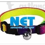 Eastland Kedi Boyun Tasması Fosforlu Zilli 10 Mm X 25-36 Cm