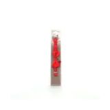 Eastland Papyon Çıngıraklı 10 mm x 30 cm Beyaz Kedi Tasması