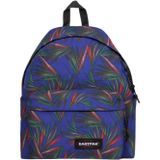 Eastpak Çocuk Sırt Çantası Çocuk Sırt Çantası, 40 cm
