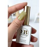 Easy Beauty 15ml Buz Kedi Gözü Kalıcı Oje - CAT EYE GEL POLISH B5 TPO İçermez - Protez Tırnak Ojesi