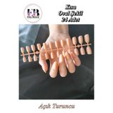 Easy Beauty 24 Adet Renkli Oval Kısa Takma Tırnak Seti 1077