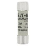 Eaton 10x38,gG/gL,500V,120kA-12A Silindirik Sigorta
