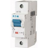 Eaton 15kA-D eğrisi-1x100A Minyatür Devre Kesici