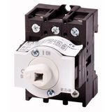 Eaton 172834 P1-25-XM F Pako Şalter ve Uzatma Şaftlı Pako Şalter Gövdesi