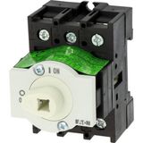 Eaton 172835 P1-32-XM Pako Şalter ve Uzatma Şaftlı Pako Şalter Gövdesi
