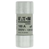 Eaton 22x58,gG/gL,500V,120kA-100A Silindirik Sigorta
