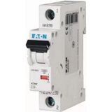 EATON 247614 Cls6-C20-De Otomatik Sigorta-6Ka-C Eğrisi
