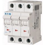 Eaton 263411 10 Ka C Eğrisi 3x25 A Minyatür Devre Kesici