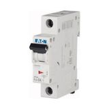 Eaton 286530 PL6-C6/1 1X6A C 6KA Otomatik Sigorta