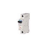 Eaton 286533 PL6-C16/1 16 Amper C 6 kA Otomatik Sigorta