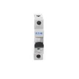 Eaton 286536 PL6-C32/1 32 Amper C 6 kA Otomatik Sigorta