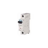 Eaton 286537 PL6-C40/1 40 Amper C 6kA Otomatik Sigorta