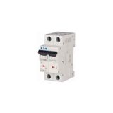 Eaton 286564 PL6-C6/2 2X6A C 6KA Otomatik Sigorta