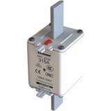 Eaton 315NHG2B 2-Boy Gg/Gl 500 V 120 Ka 315 A NH Sigorta