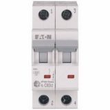 Eaton 4,5kA - C eğrisi - 2x63A Minyatür Devre Kesici
